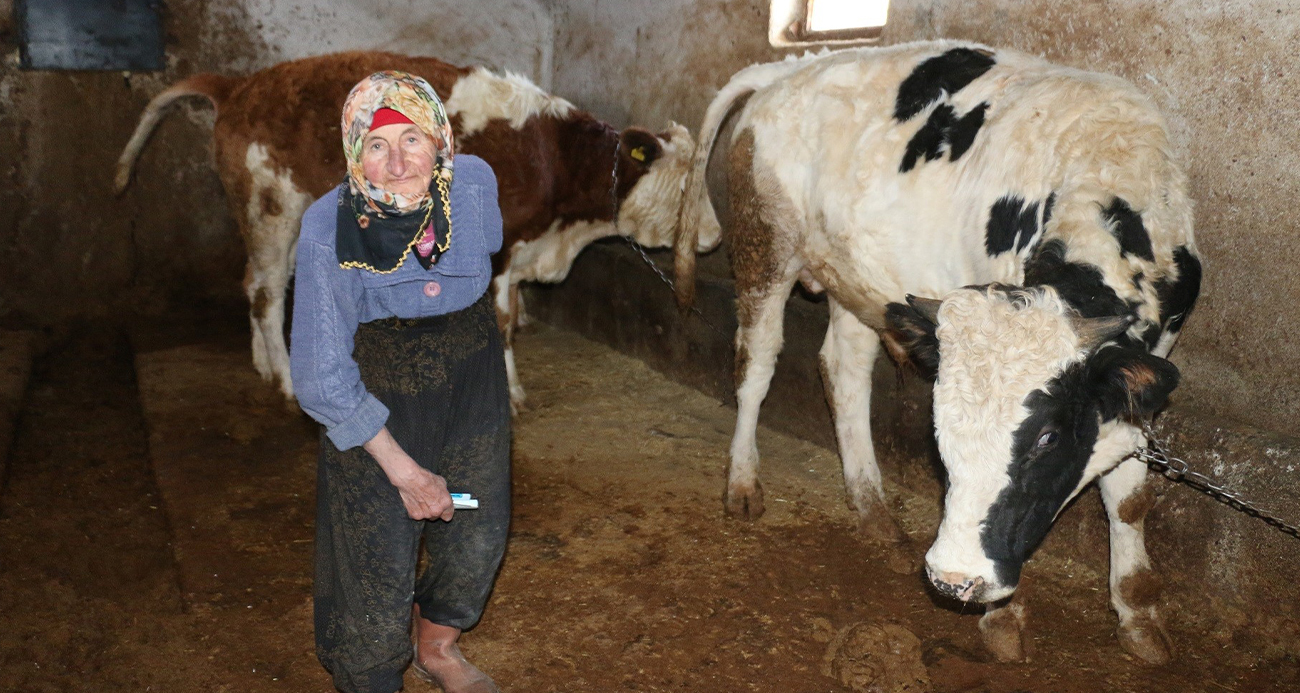 79 yaşındaki Dilber ninenin inanılmaz hayat mücadelesi görenlere maşallah dedirtiyor