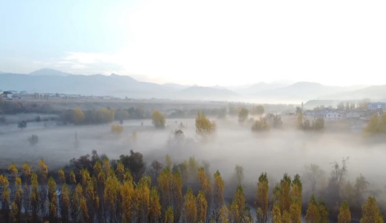 Tunceli’de ’sis’ şöleni