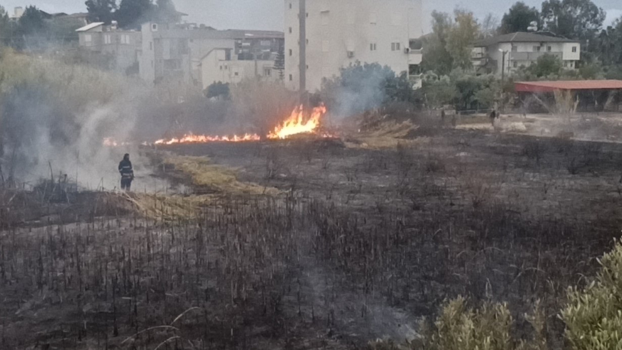 Sazlık alandaki yangına hortum ve bidonlarla müdahale ettiler