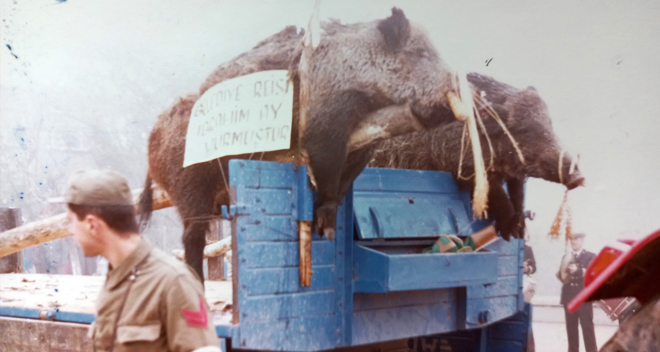 Kurtuluş resepsiyonuna ’domuz’ hatırası damgayı vurdu