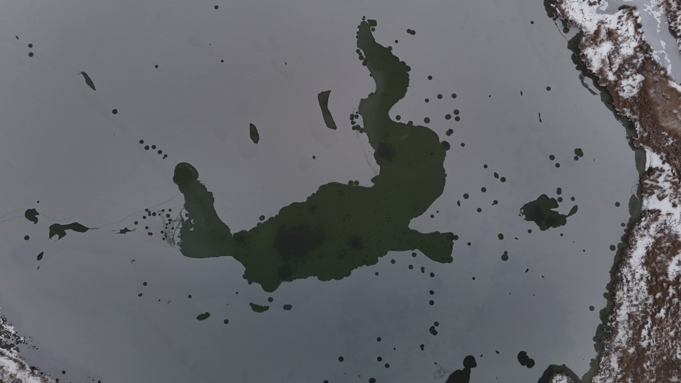 Göl buz tuttu, kuşlar görsel şölen oluşturdu