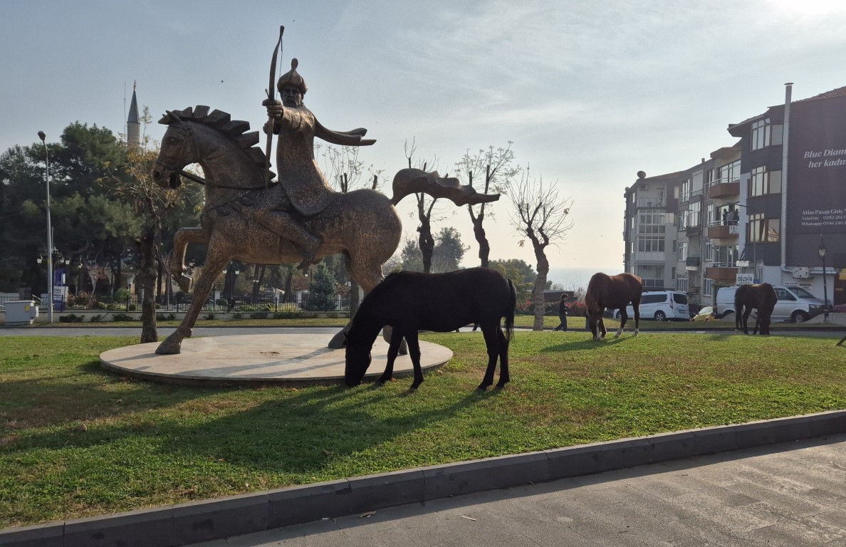 Tekirdağ’da atlı heykeli mesken tutan başıboş atlar ilgi odağı oldu