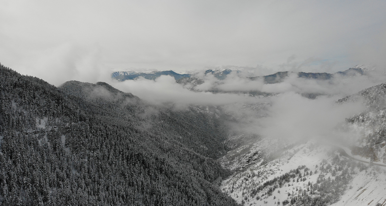 Zigana Dağından kar manzaraları