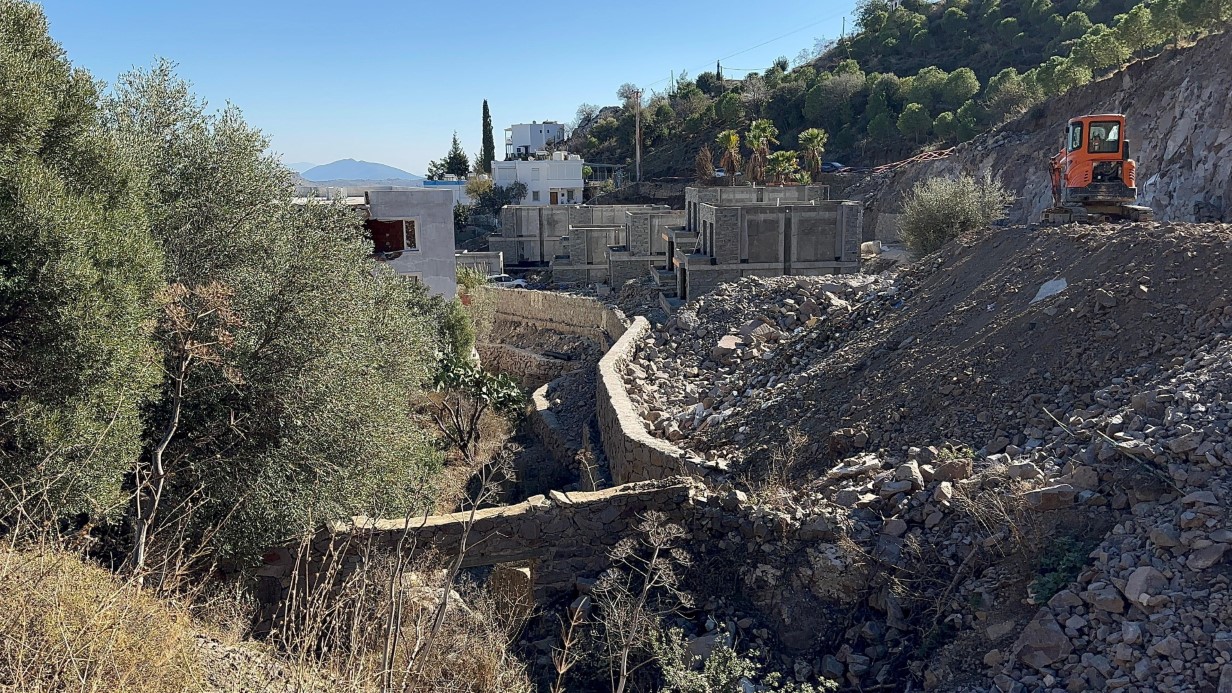 Ünlü sanatçı Suavi’ye Bodrum’da ağaç katliamı cezası