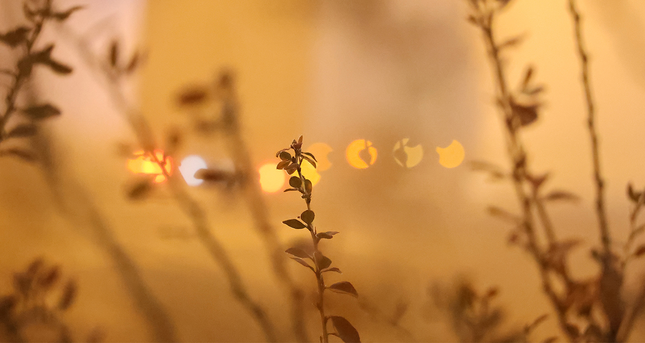 Aksaray’da yoğun sis: Görüş mesafesi 10 metreye kadar düştü