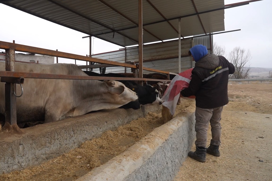 Az hayvanla başladılar, destekler sayesinde şimdi dev çiftlik kurmaya hazırlanıyorlar