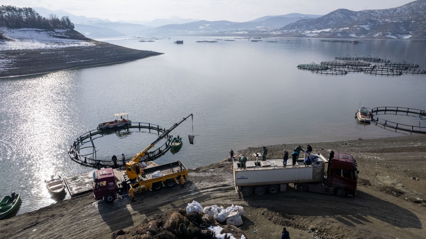 Tokat’ın somonları Karadeniz’de büyüyüp dünya sofralarına ulaşıyor