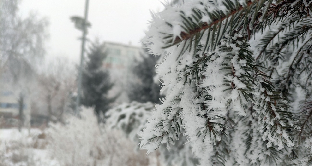 Sibirya soğukları Ardahan’ı dondurdu