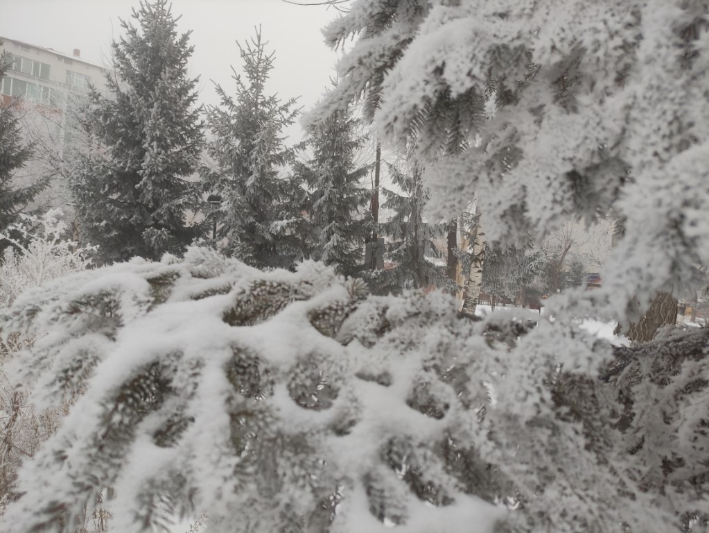 Sibirya soğukları Ardahan’ı dondurdu