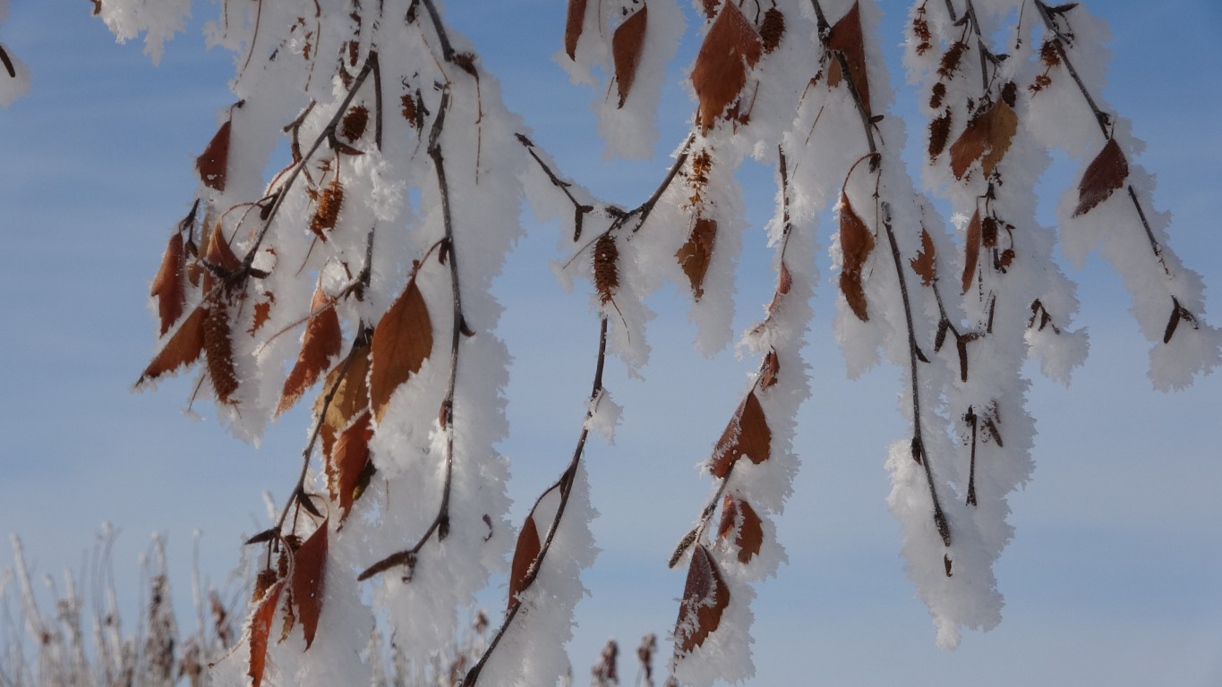 Sibirya soğukları Ardahan’ı dondurdu