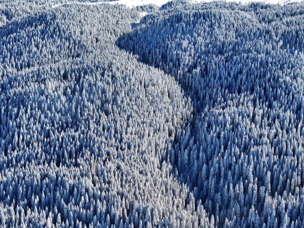 Bolu’nun dağlarında eşsiz manzara