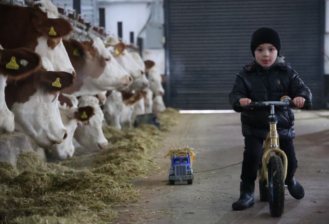 TKDK’dan aldığı destekle ülkesine dönüp çiftlik kurdu, 432 ton süt üretiyor