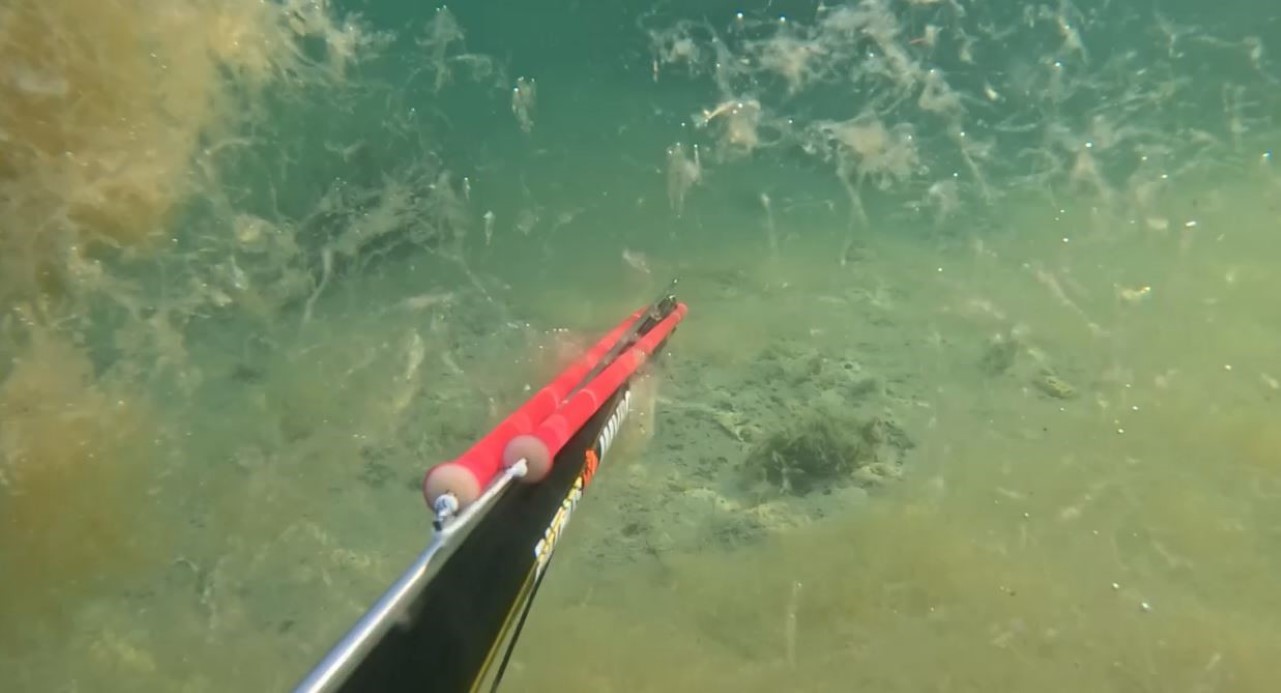 Büyükçekmece’de denizin dibinde korkutan müsilaj manzarası kamerada