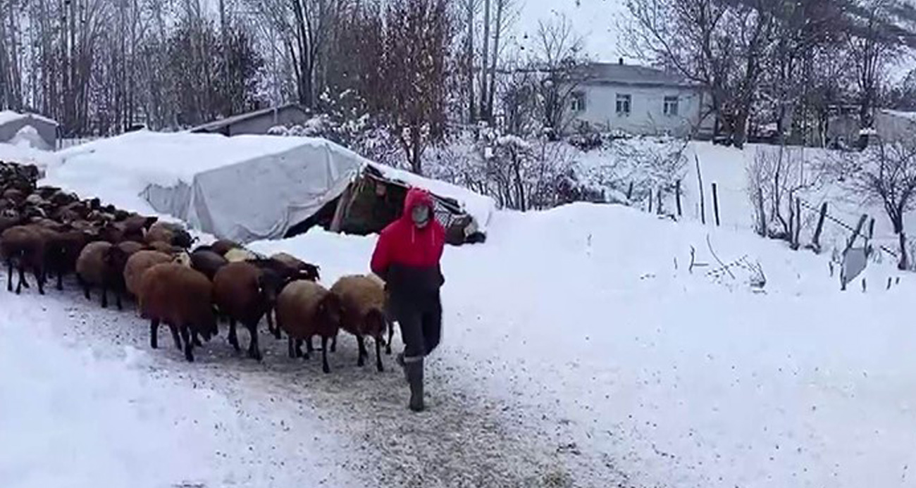 Besicilerin kar altında zorlu mesaisi