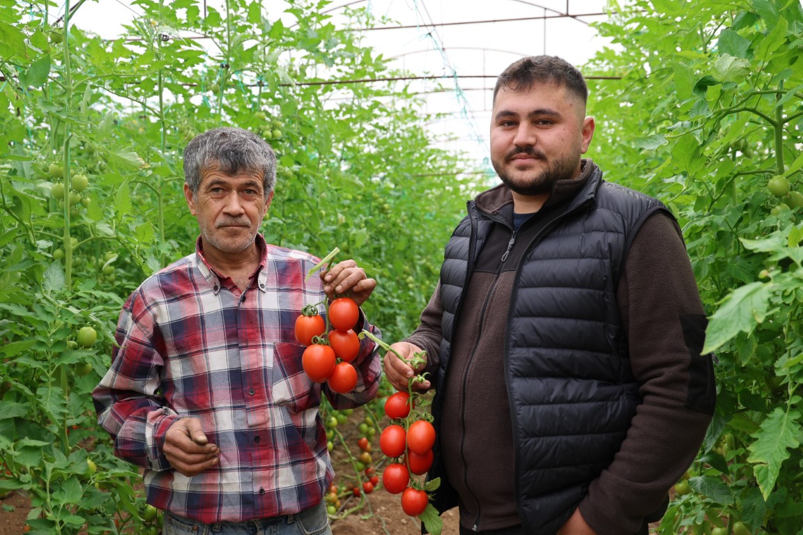 Adana’da mahallede 400 metrekareyle başlayan seracılık 30 dönüme ulaştı