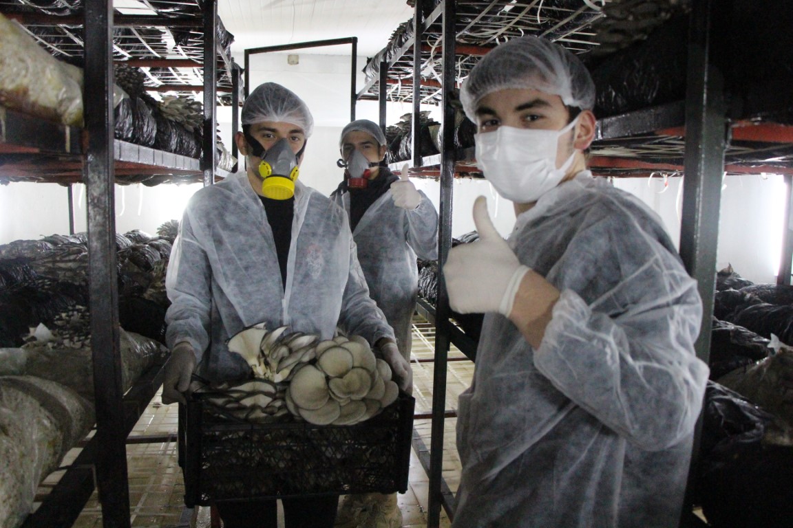 Meslek liseliler, 2 yılda 15 ton mantar üretip 1 milyon TL kazandırdı