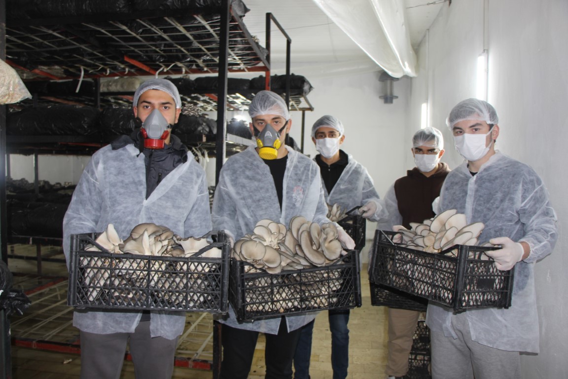 Meslek liseliler, 2 yılda 15 ton mantar üretip 1 milyon TL kazandırdı