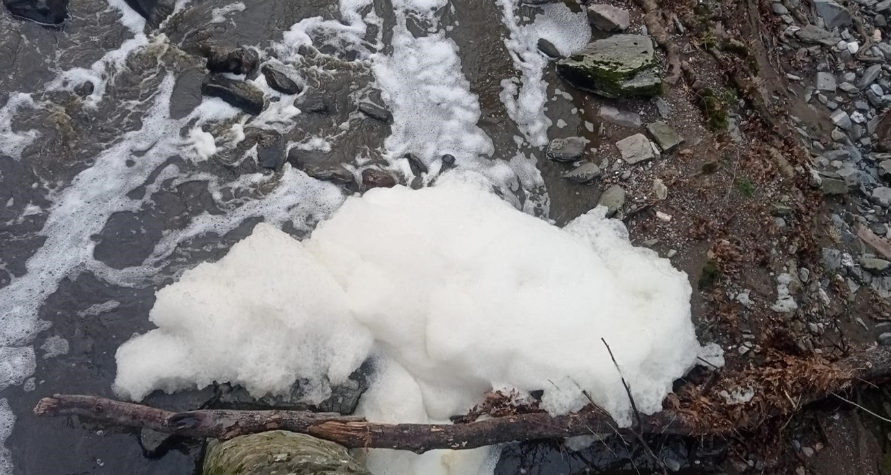 Balıkesir’in Manyas ilçesine 5 kilometre uzaklıktaki Ketenlik Deresi, bir kez daha çevre kirliliğiyle gündemde. Manyaslı vatandaşların özellikle iyi havalarda piknik yapmak için tercih ettiği derenin üzeri iddialara göre hayvan dışkıları ve deterjan kalıntılarıyla kaplandı. Bu durum hem çevre sakinlerini hem de doğayı tehdit ediyor.