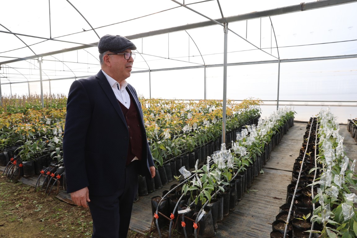 Hukuk profesörü baba ile doktor oğlu ata topraklarında 30 ton avokado üretiyor