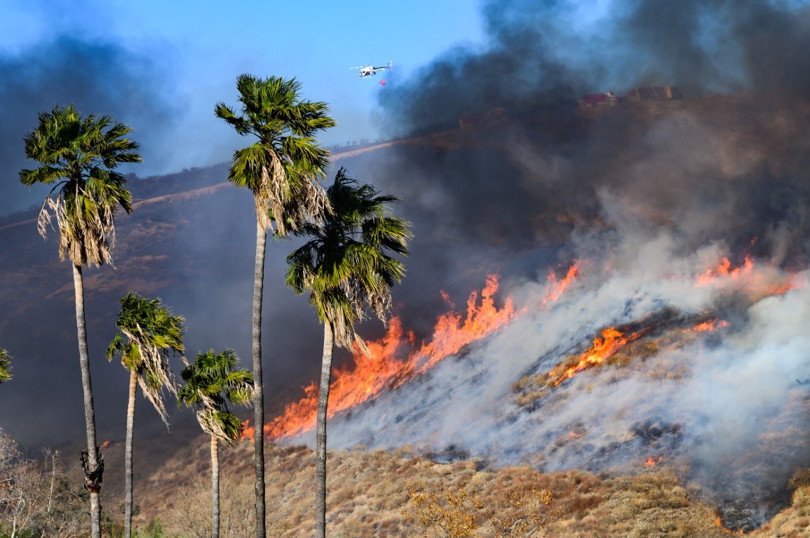 California’da çıkan yeni yangın kontrol altına alındı, 1 kişi gözaltında