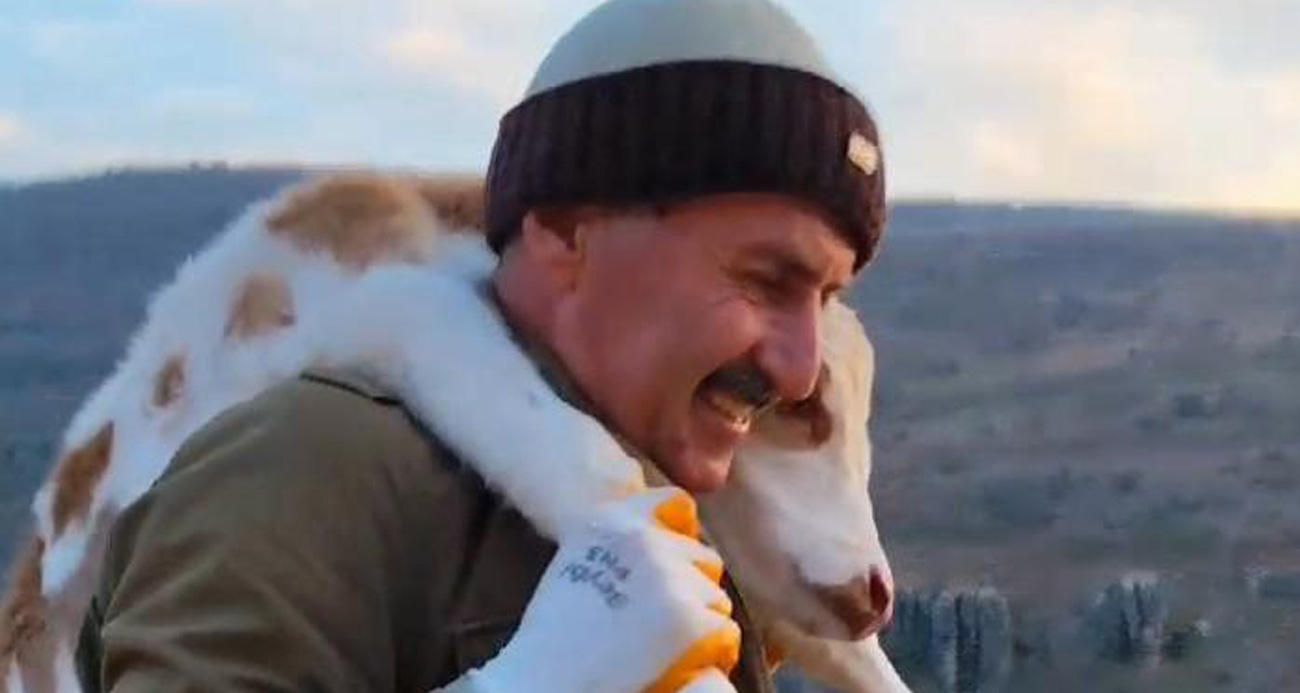 Merada doğan buzağıyı 5 kilometre sırtında taşıyan besici konuştu