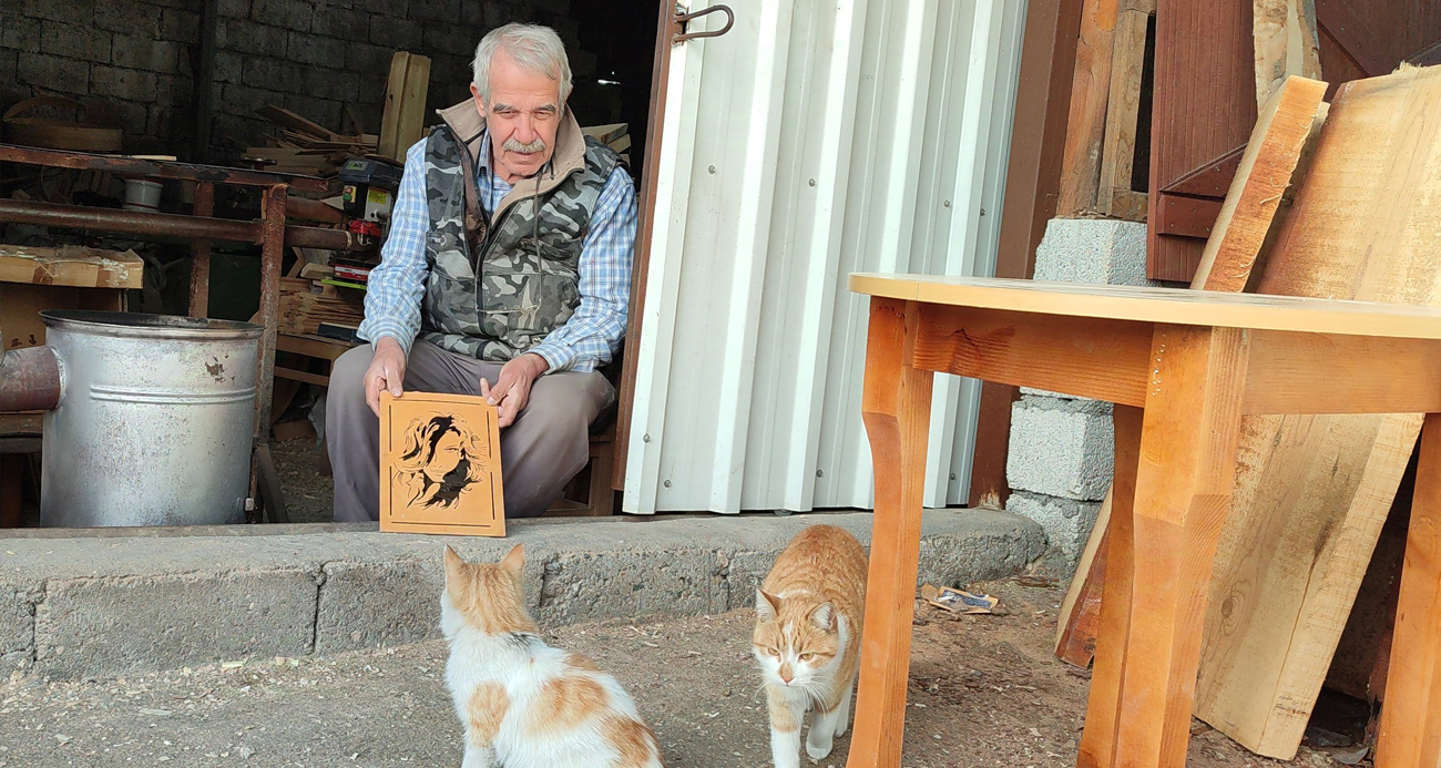 Depremden sonra sokakta kalan kedilere sahip çıktı