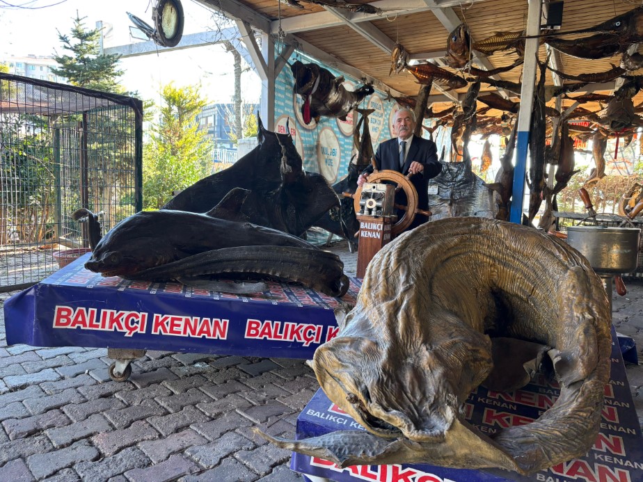 Türkiye Deniz Canlıları Müzesi yarıyıl tatilinde öğrencileri bekliyor