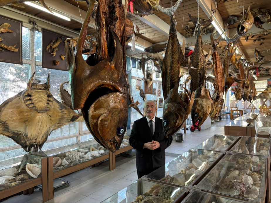 Türkiye Deniz Canlıları Müzesi yarıyıl tatilinde öğrencileri bekliyor