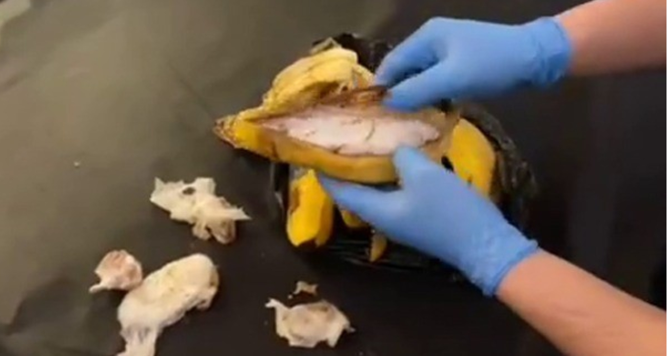 Akıllara durgunluk veren yöntem: Muzların içerisinden uyuşturucu çıktı