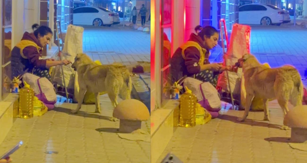 Hatay’ın İskenderun ilçesinde yediği yemeği sokak köpeğiyle paylaşan Ayşe Aslan’ın görüntüsü yürekleri ısıttı.