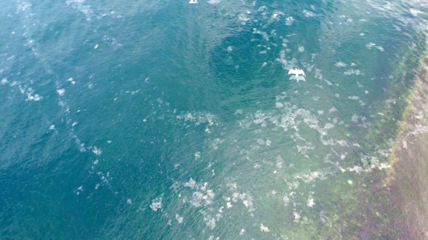 Adalar’daki müsilaj tehdidi havadan görüntülendi