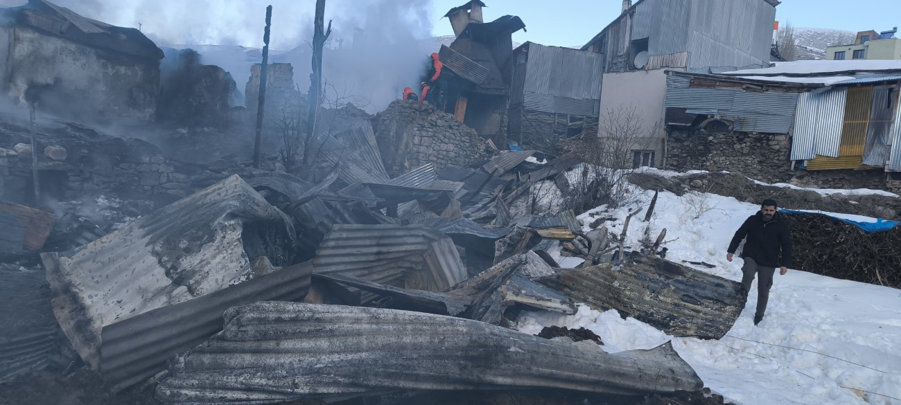 Faciayı köydeki köpekler önledi