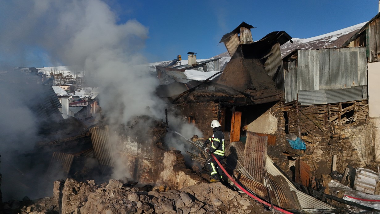 Faciayı köydeki köpekler önledi