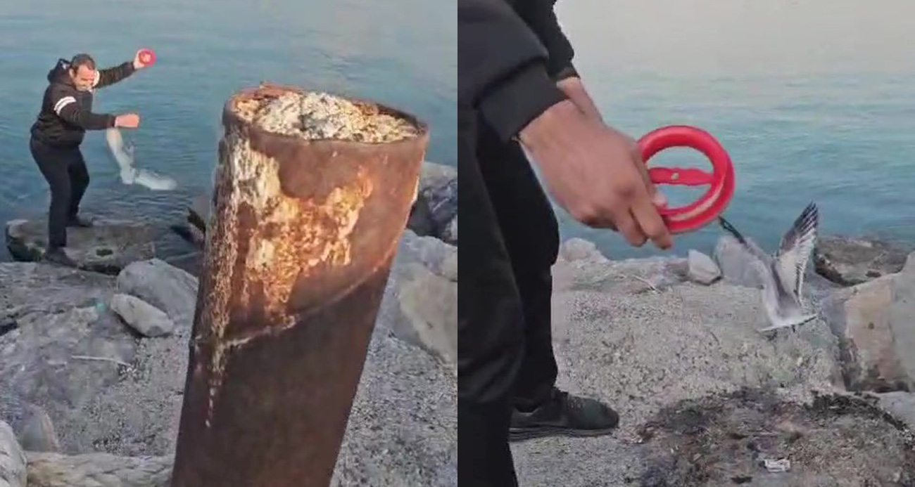 Balığa niyetle denize attığı oltasına martı takıldı