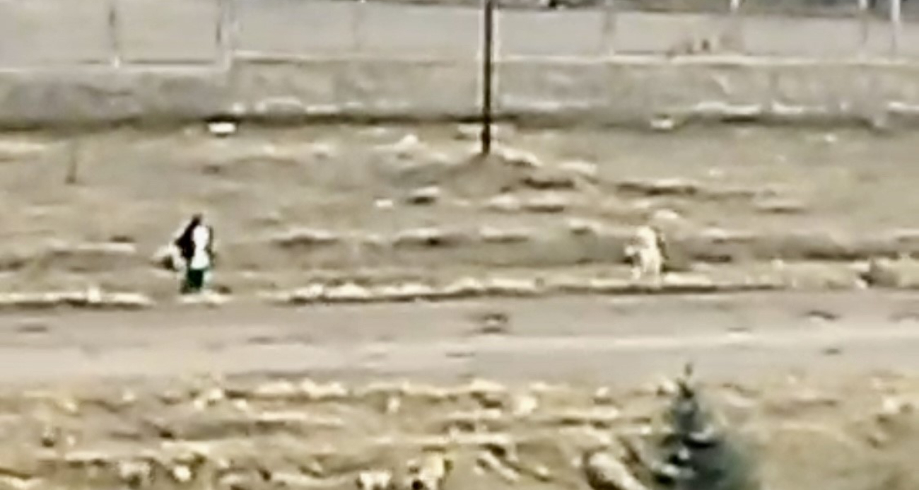Sokak köpeklerinin saldırısına uğrayan çocuk, çuval parçası ile kurtuldu