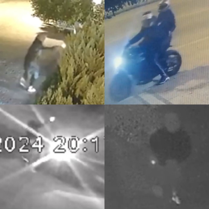 İş yerlerini kurşunlayan ’Kaplanlar’ çetesi çökertildi: 15 tutuklama