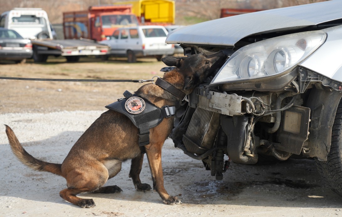 Uyuşturucu tacirlerinin korkulu rüyası: 
