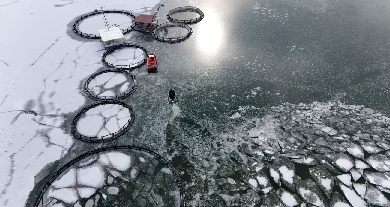 Sibirya soğuklarının hakim olduğu Erzincan’da göller dondu