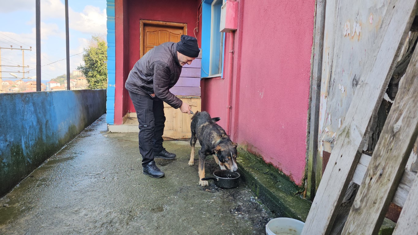 Köpeğin vefası herkesi duygulandırdı