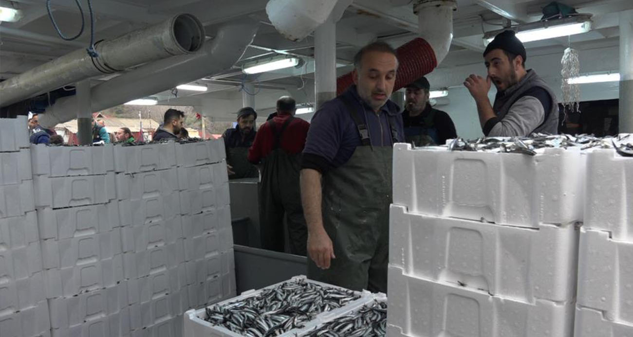 Rotalar İğneada’ya çevrildi: Kasa kasa hamsi tutuldu