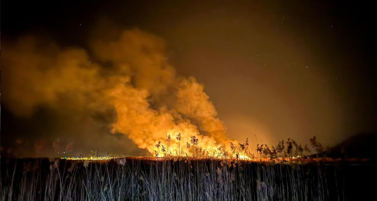 Yamadı Gölü alevlere teslim oldu, yangın 5 saatte kontrol altına alındı