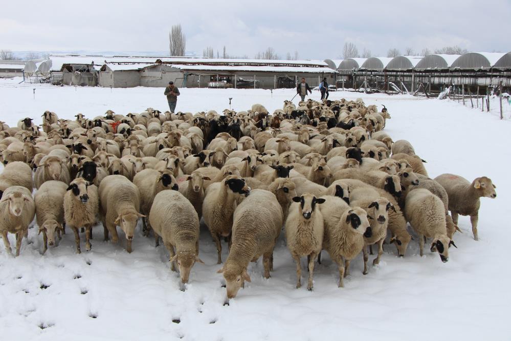 Barajların alarm verdiği Amasya’da Şubat’ta yağan kar yüzleri güldürdü