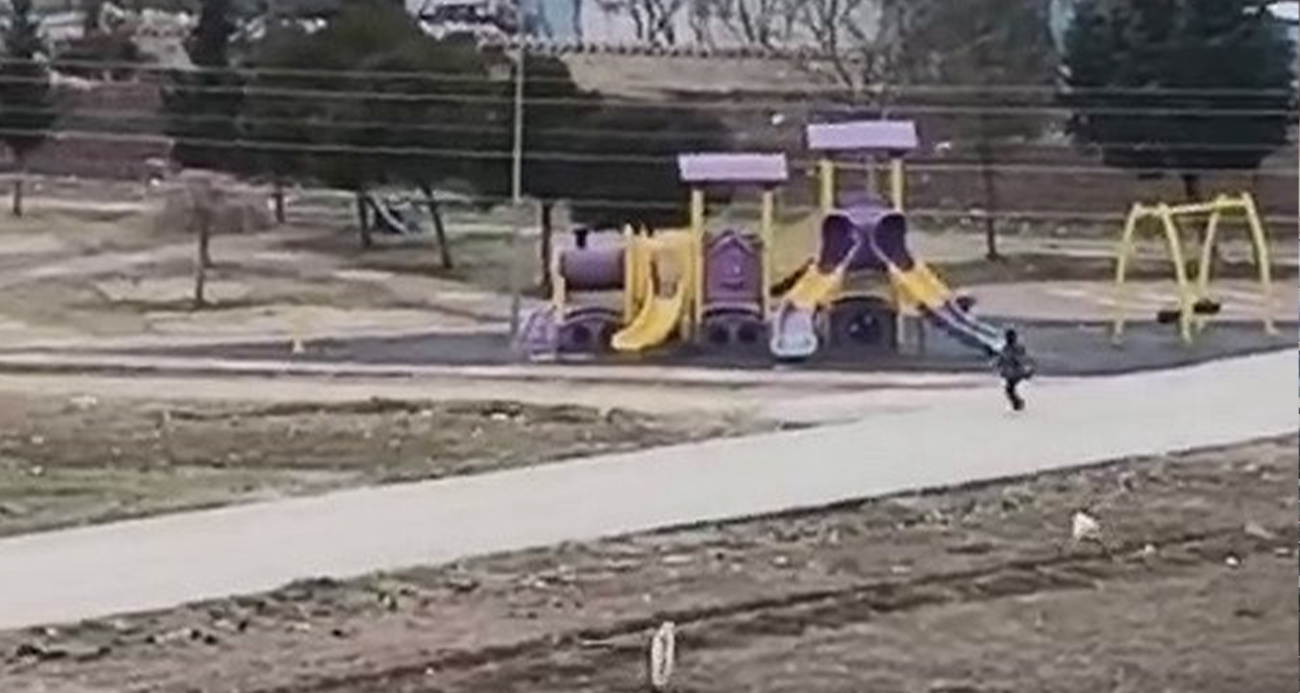 Sokak köpekleri yaşı küçük çocuğa böyle saldırdı