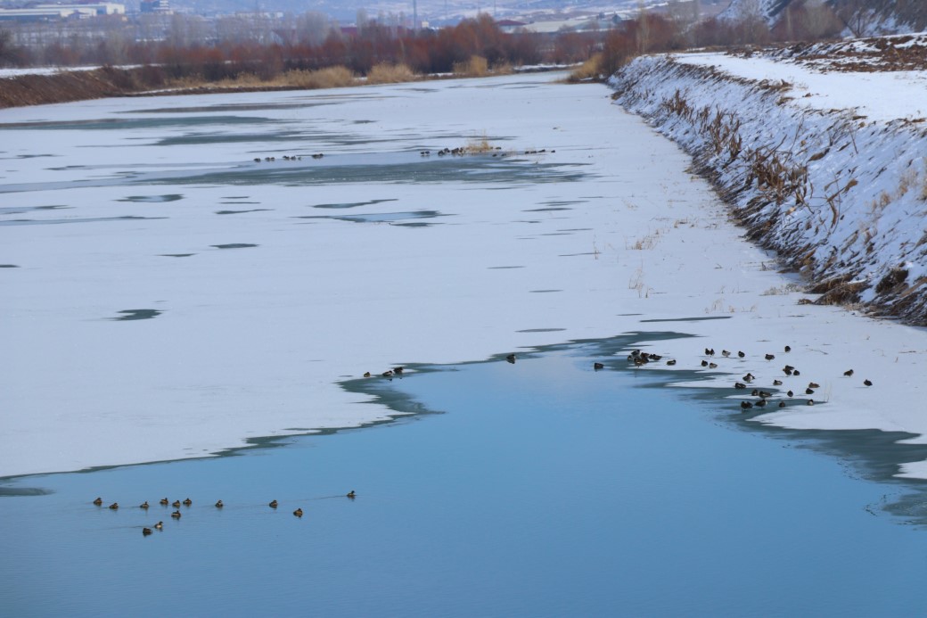 Türkiye’nin en uzun nehri kısmen buz tuttu