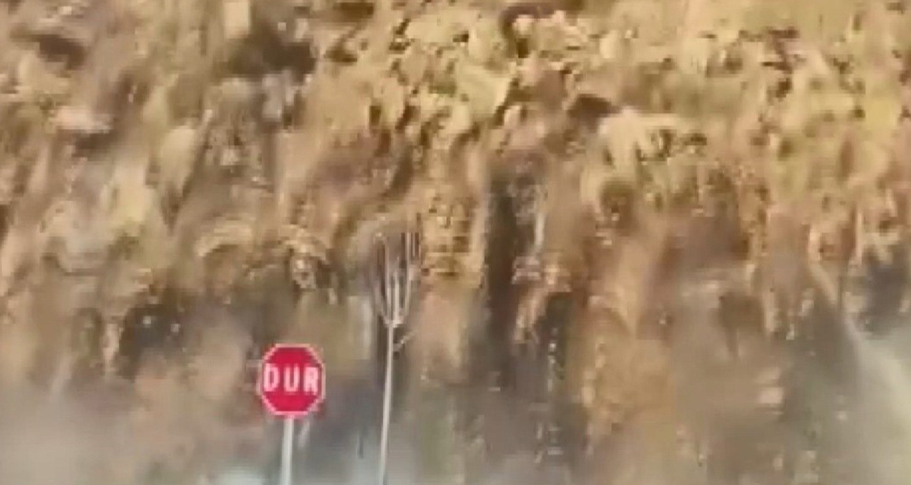 Yol ulaşıma kapandı!