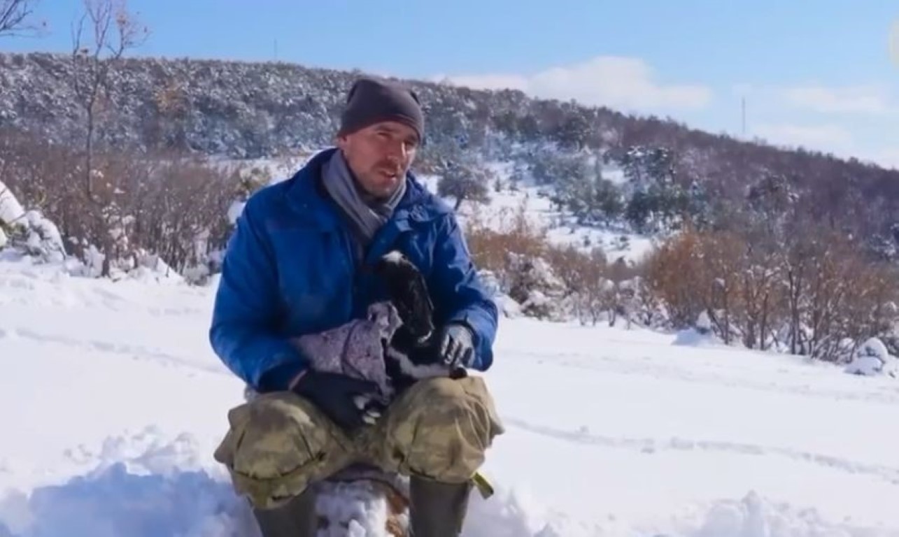 Yurtdışında meslekleri denedi, memleketinde çobanlığa döndü