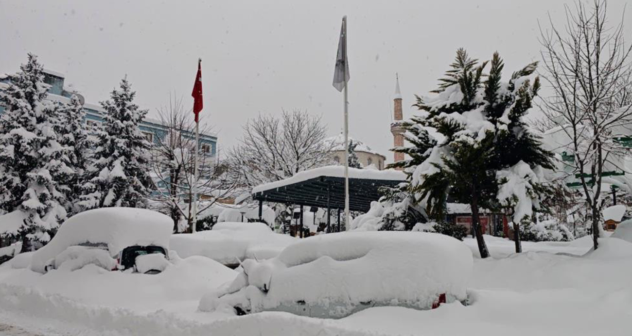 Artvin şehir merkezinde kar esareti