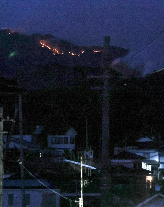 Japonya’daki orman yangınında 1 kişi hayatını kaybetti