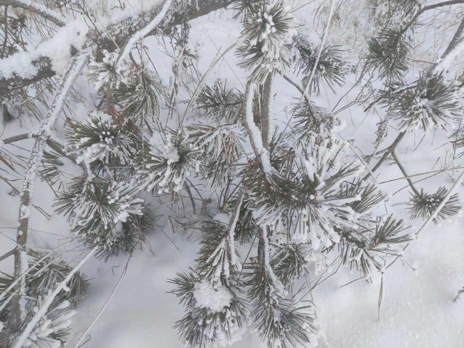 Göle eksi 32,1 derece ile rekor kırdı: Türkiye’nin en soğuk yerleşim yeri oldu
