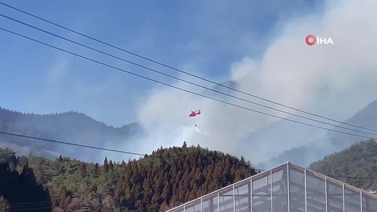 Japonya’daki orman yangını 4. gününde: Bin 400 hektarlık alan kül oldu